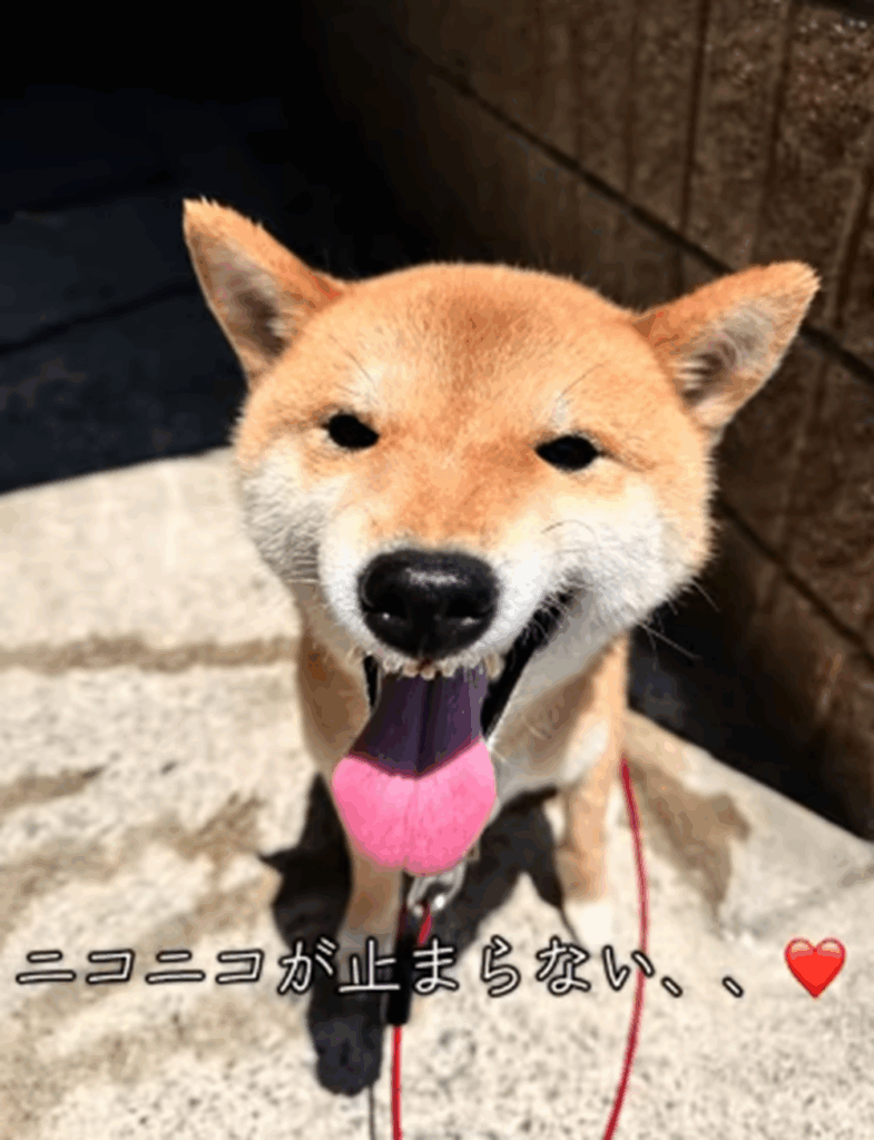 ニコニコが止まりません（＠very_choco_vanilla_ten_taigaさんより提供）