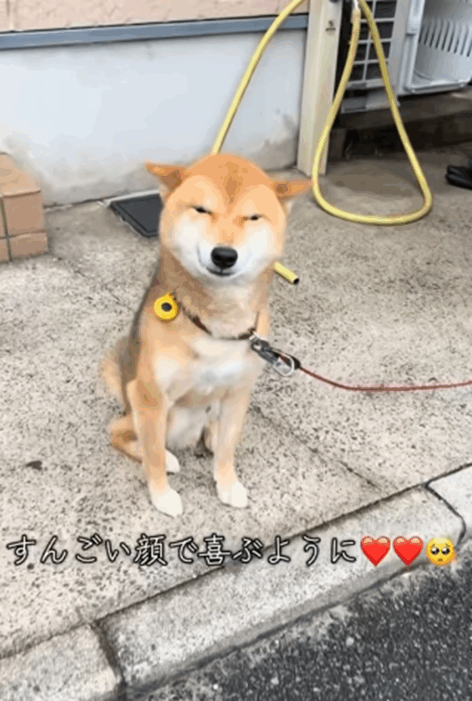 すごい顔で（笑）（＠very_choco_vanilla_ten_taigaさんより提供）