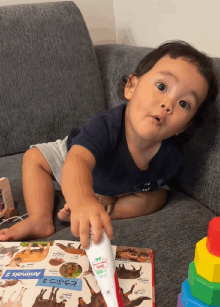 【実際の写真】まさかの光景