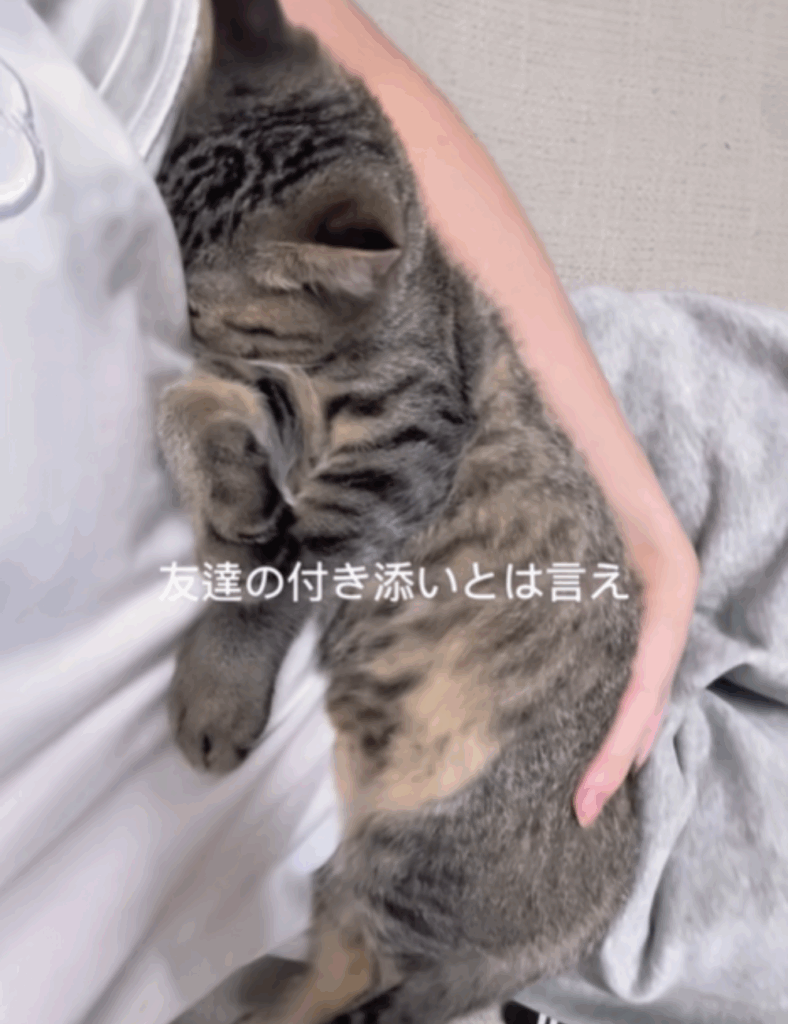 寂しさが伝わってきます…（＠nivo2_さんより提供）