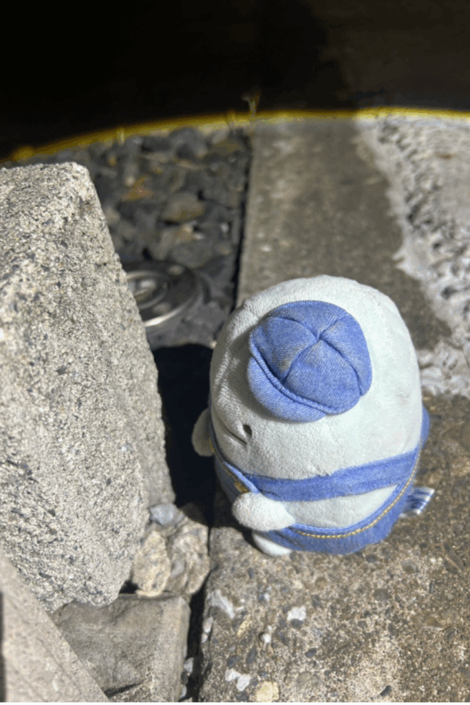 お迎えを待っていたぬいぐるみ（@tama_n2さん提供）