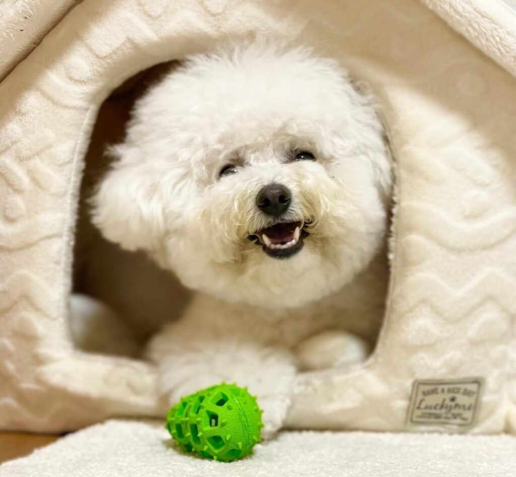 【実際の写真5枚】　背景をよく見た結果