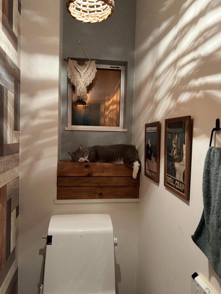 お気に入りの場所（＠matsuyou3016さんより提供）