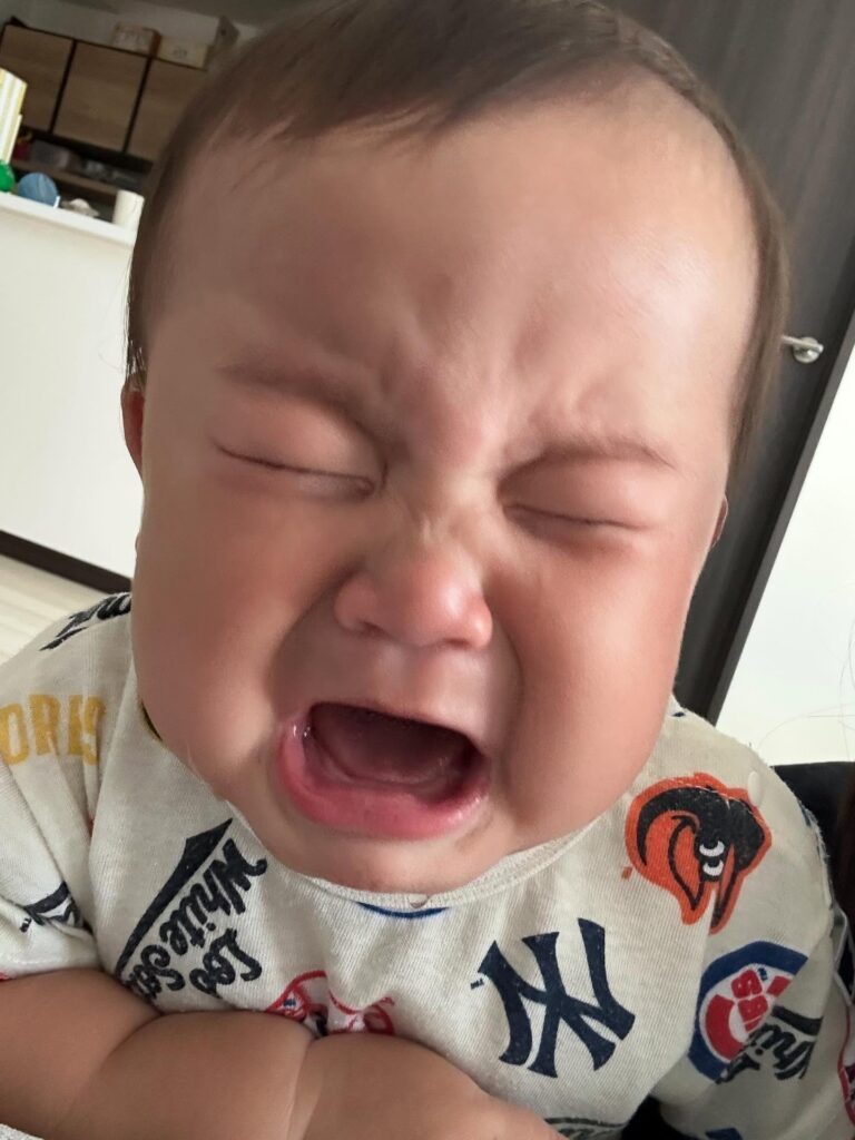 【実際の写真5枚】　ママが見た光景