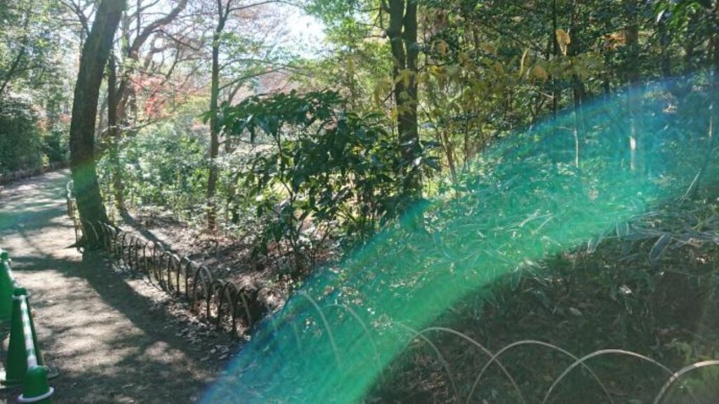 風景写真①（＠yukibuu0093さんより提供）