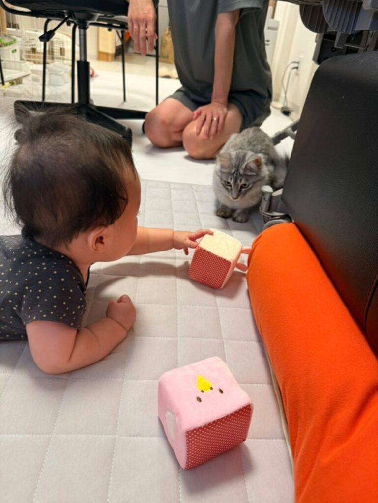 いつも一緒（@mugita_515さんより提供）