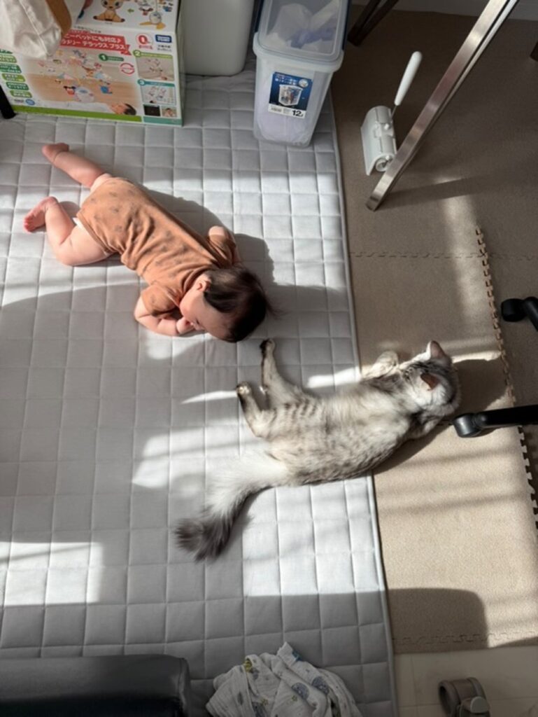 少しずつ距離が縮んできた（@mugita_515さんより提供）