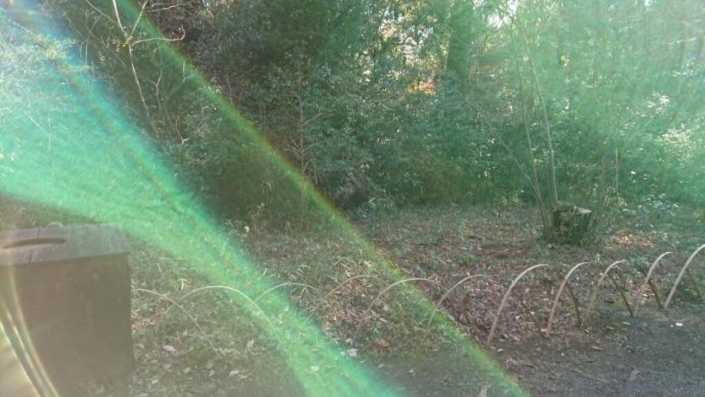 風景写真②（＠yukibuu0093さんより提供）