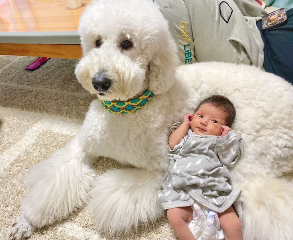 【実際の写真】2年後の様子