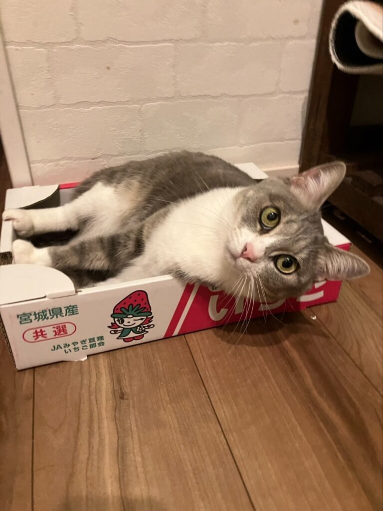 【実際の写真】気付いた異変