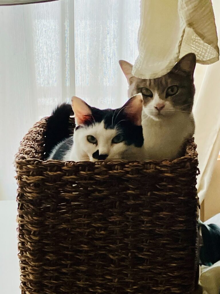 なぎちゃんと一緒（＠matsuyou3016さんより提供）