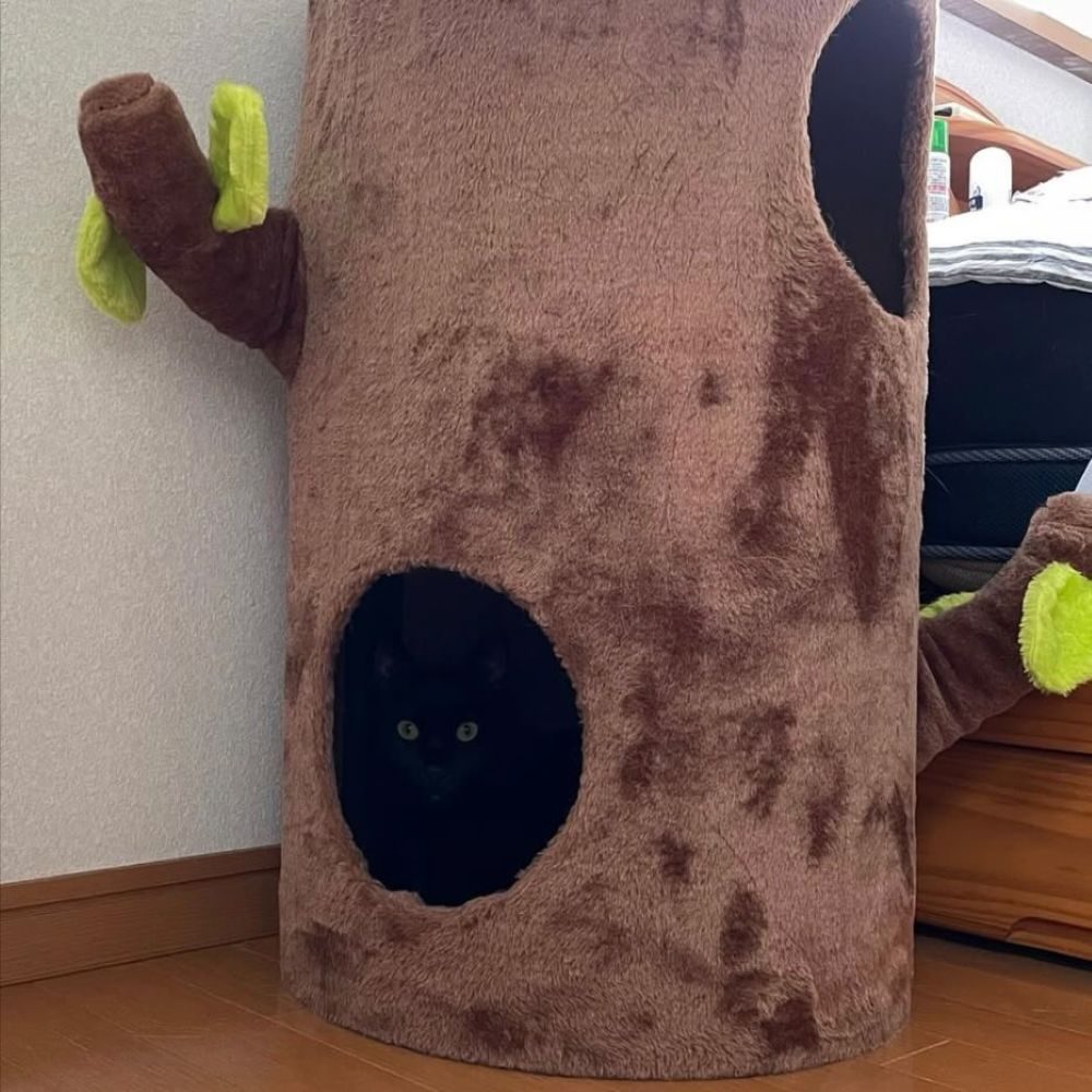 溶け込むはちちゃん（＠wadokabiさんより提供）