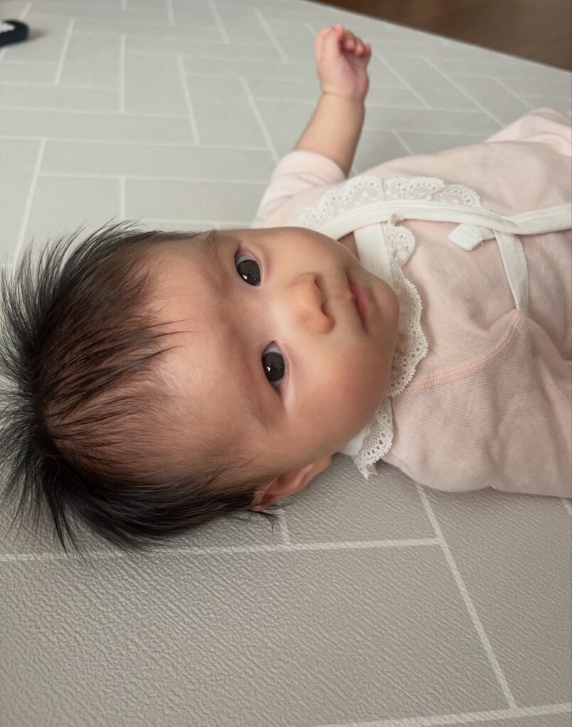 【実際の写真】視線の先にいた存在