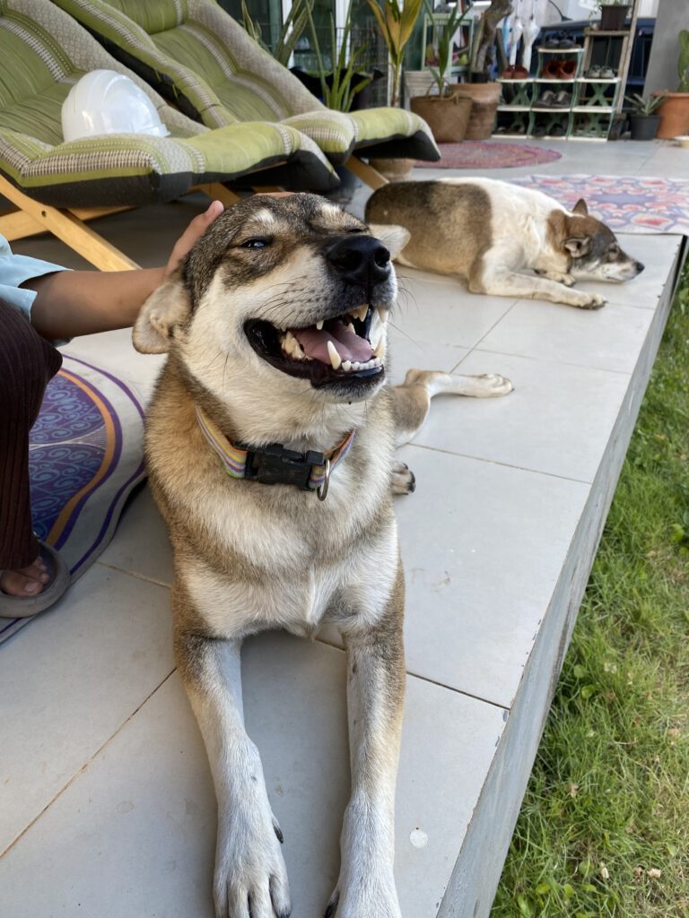 普段の様子①（＠bohovibes.jpさんより提供）