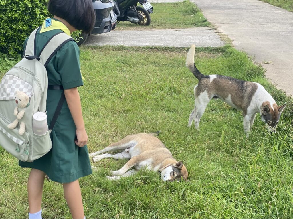 サンダルをボロボロにした犯人は…（＠bohovibes.jpさんより提供）