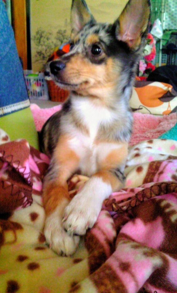 【実際の写真】　１２年後の様子