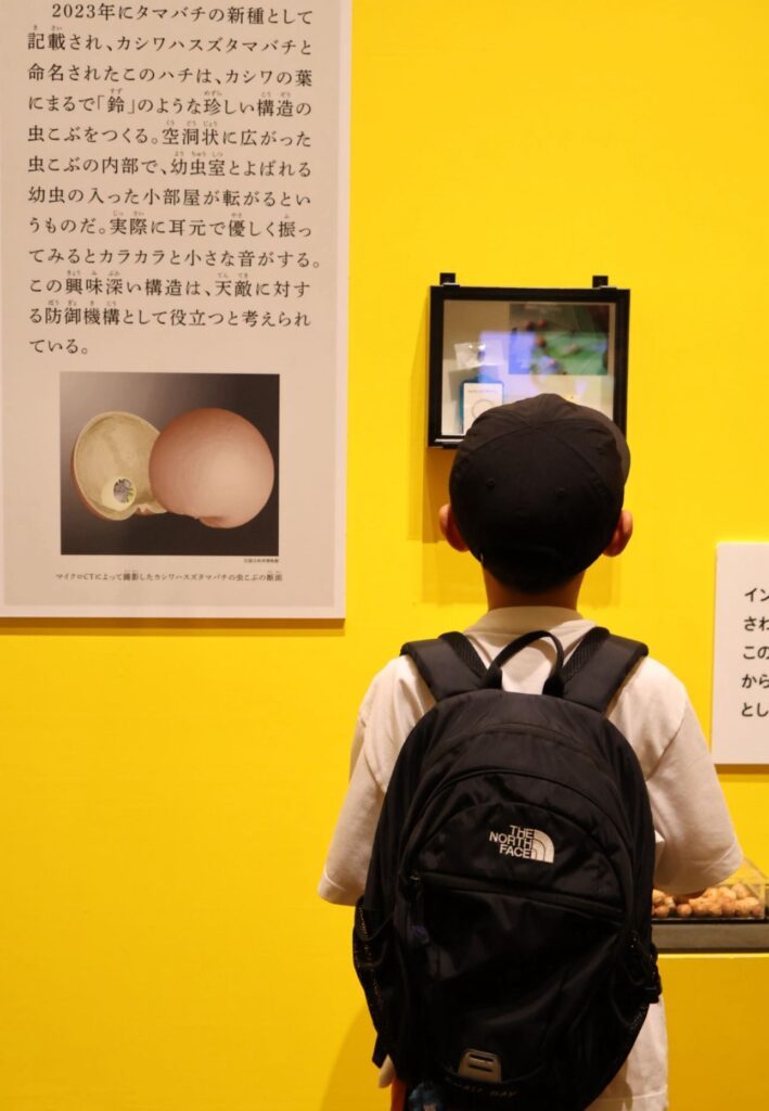 息子さん（＠____________chihiro22さんより提供）