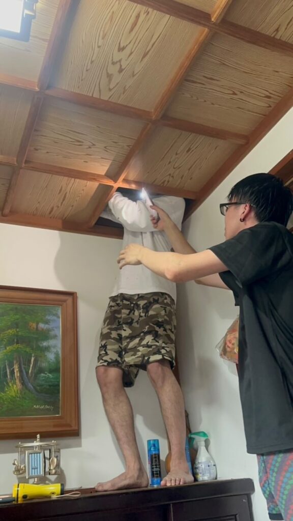 【実際の写真】現在の姿