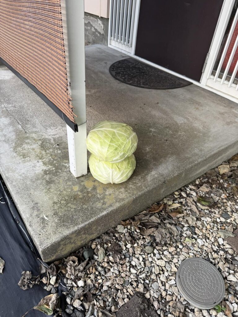 玄関前に置かれていた野菜（＠ryusuke_ari_gさんより提供）