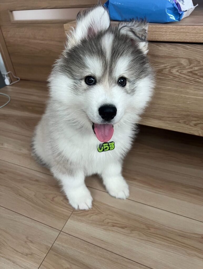 【実際の写真】9ヶ月後の姿