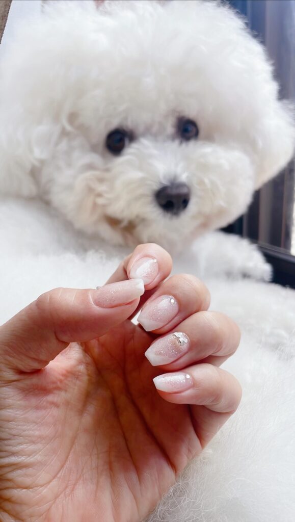 背景の正体（＠merumeru467さんより提供）