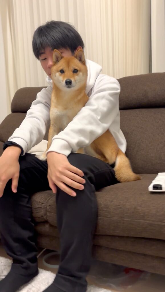 ママさんに注意された長男さんを守るむぎくん（＠bashiko214さんより提供）