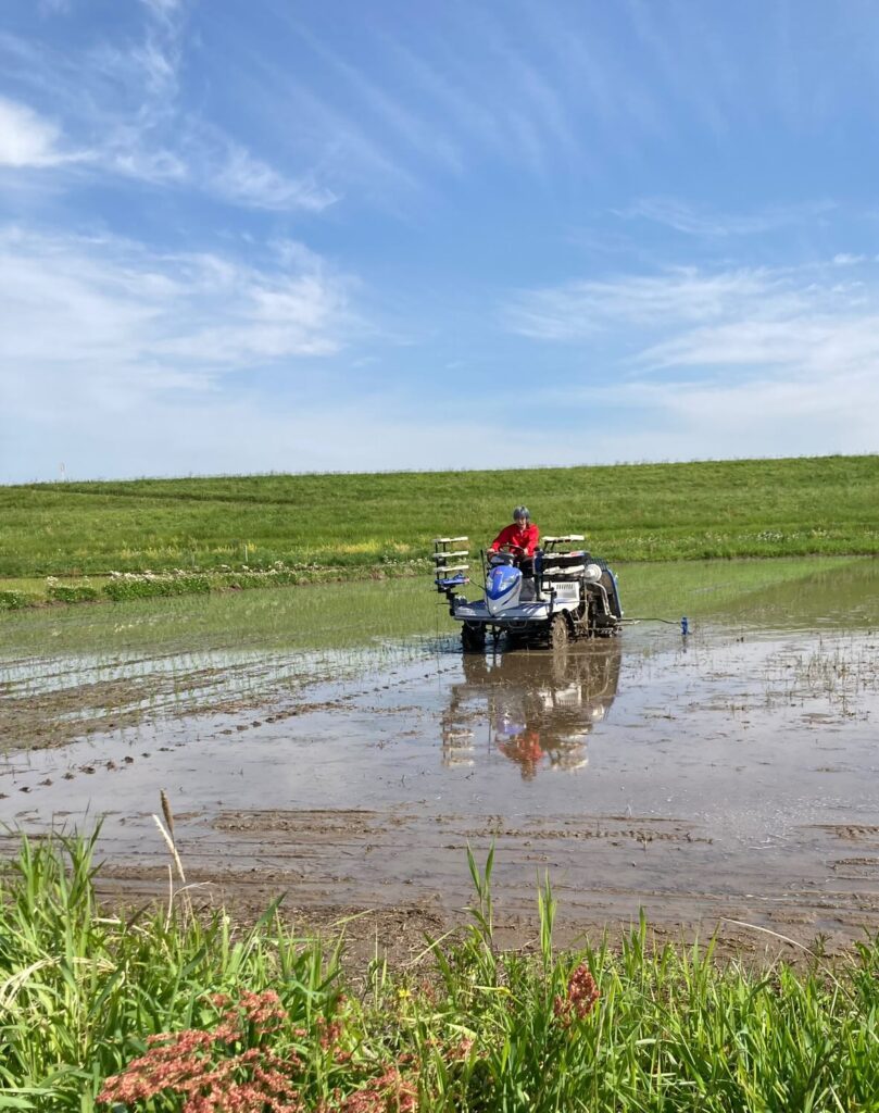 【実際の写真】まさかの姿