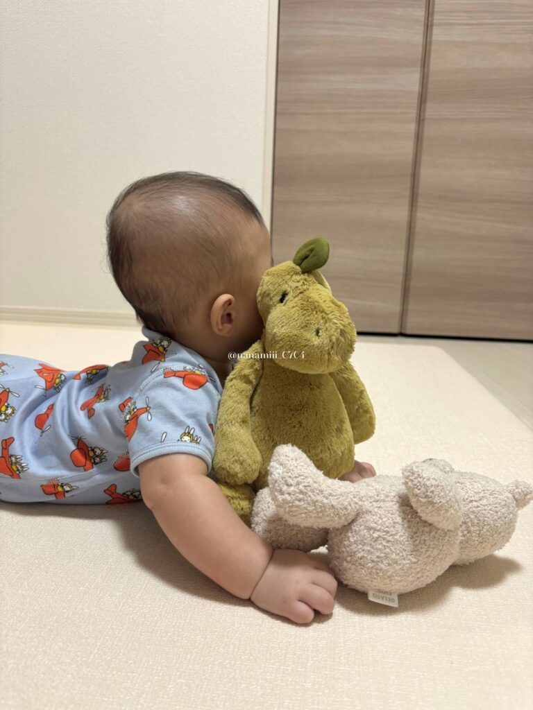 ぬいぐるみと（＠omin._.nさんより提供）