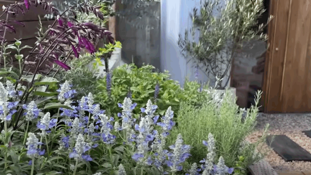 ガーデニングも楽しんでいます（＠machikane_baseさんより提供）