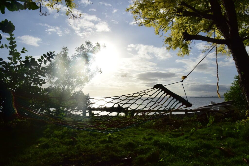 【実際の写真20枚】　現在の様子