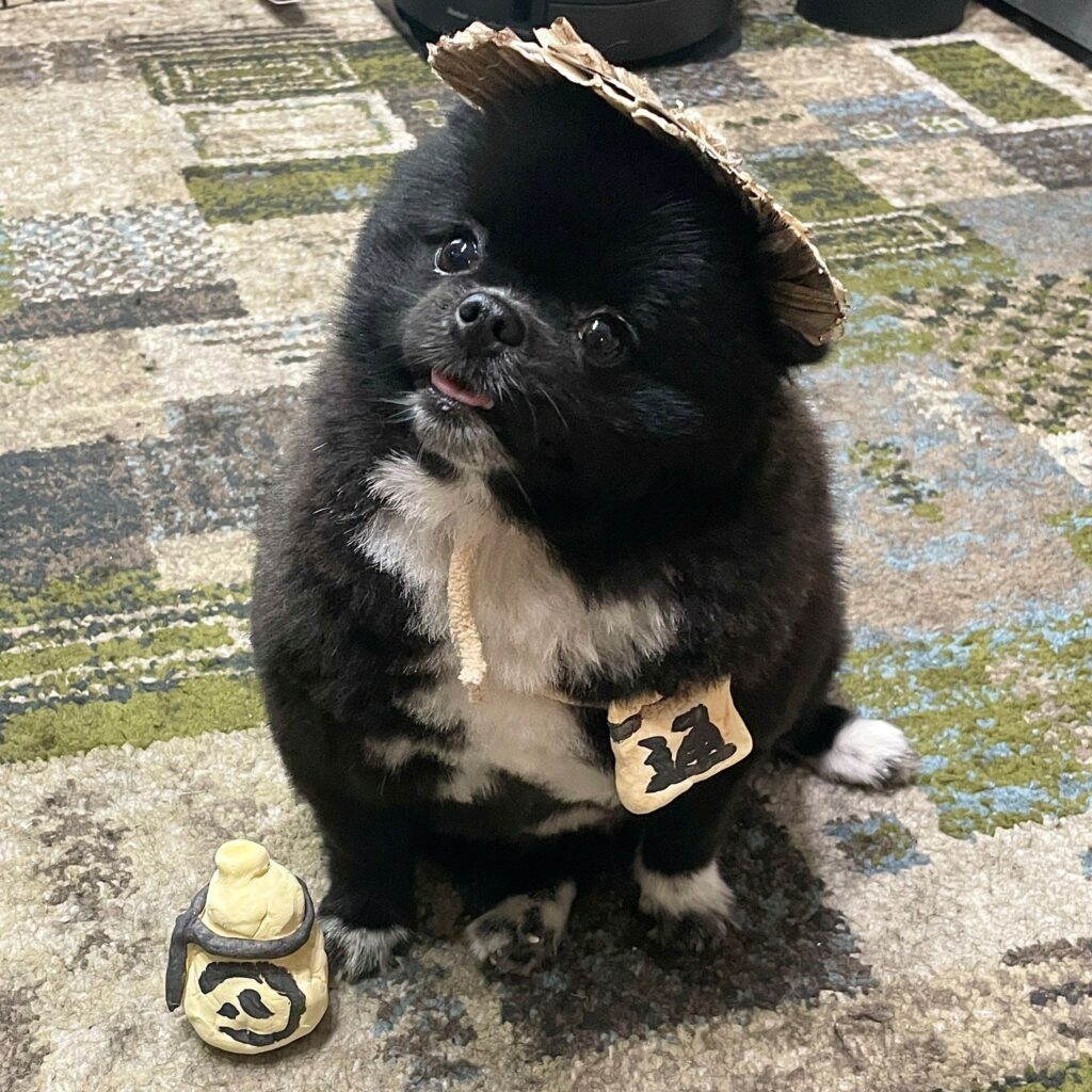 たぬきの焼きものに似たくつしたちゃん（@kutsu_shigatanuさんより提供）