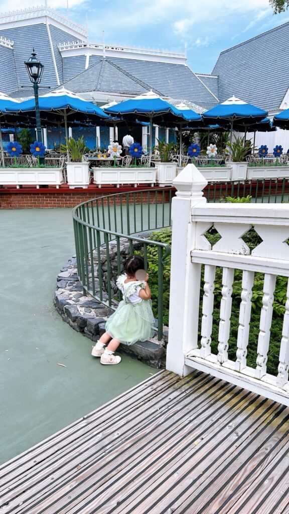 【実際の写真】　ママが見た光景