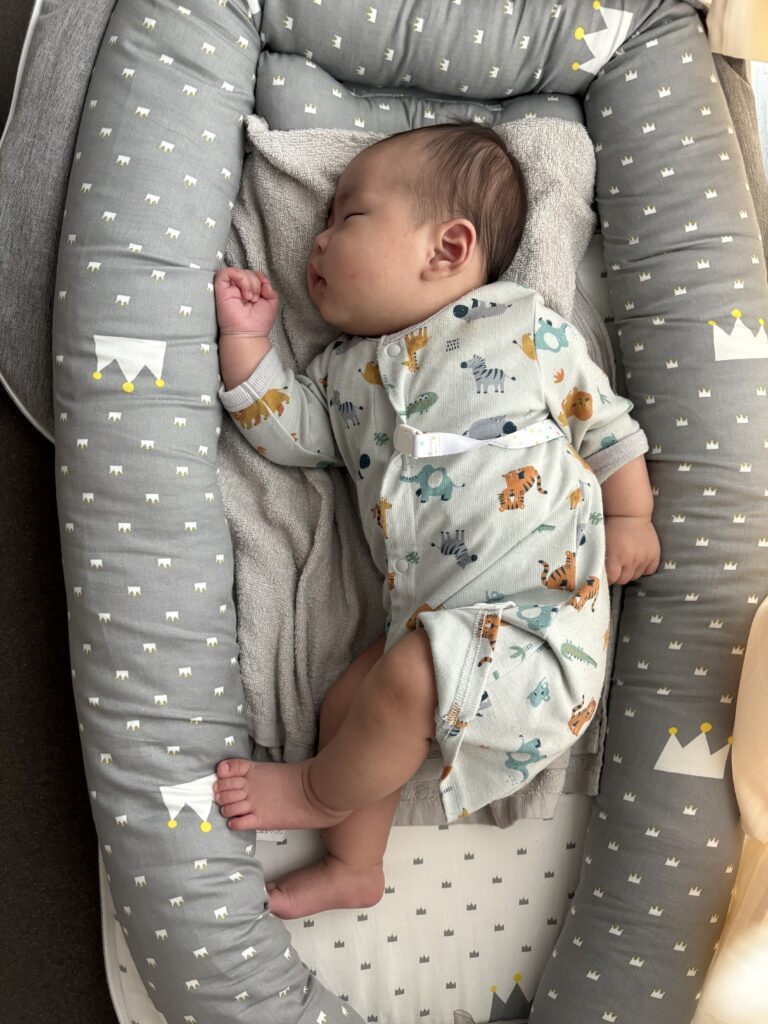 【実際の写真】　ママが見た光景