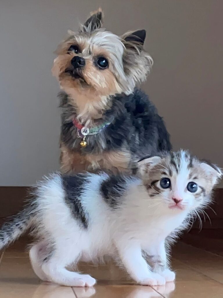 【実際の写真5枚】現在の元気な様子