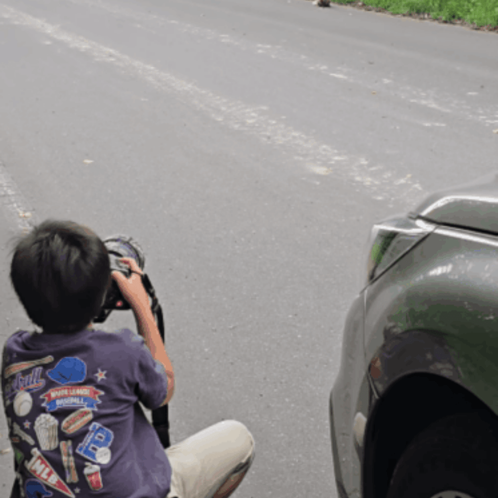 野生のキタキツネに遭遇した小5息子　カメラを構えると…→まさかの結果に「すげえ！！！」「神秘的」「素敵な夏の体験」