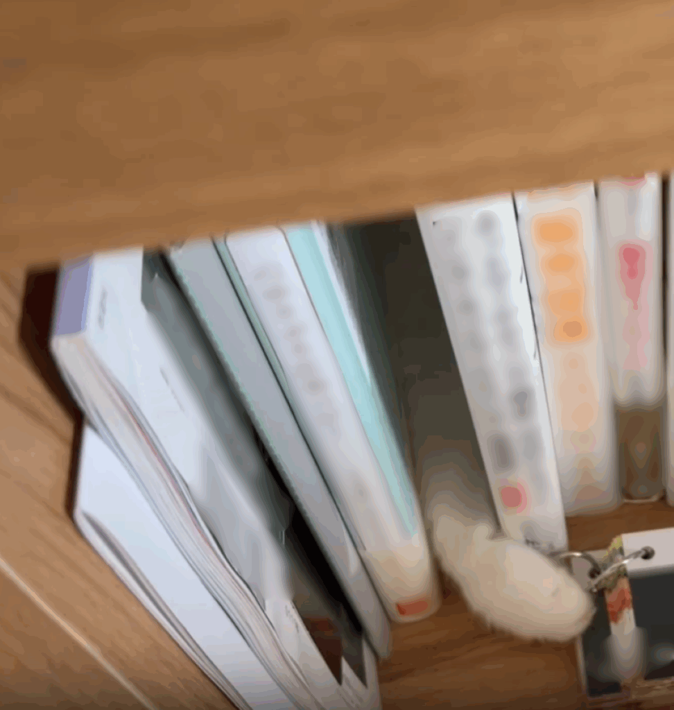 本の隙間に手！？（＠oh_okayuさんより提供）