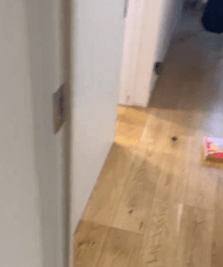 【実際の写真5枚】　ママが見た光景