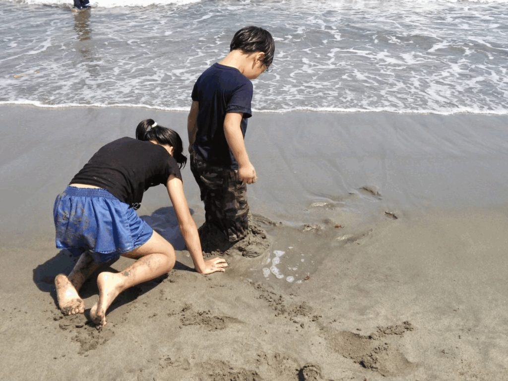 【実際の写真】8年後の姿