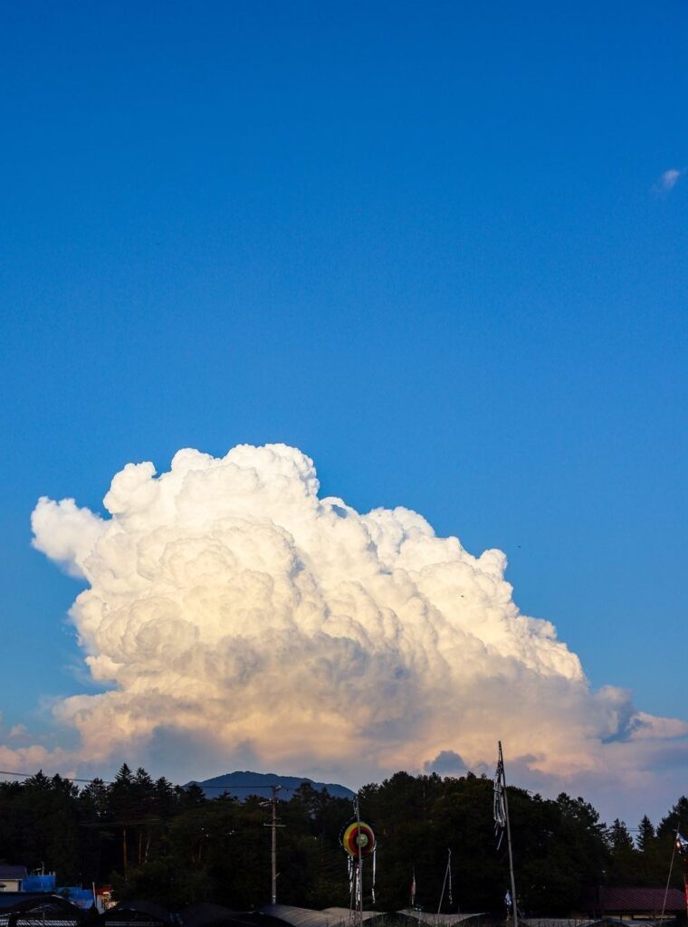 【実際の写真】　投稿者さんが見た光景