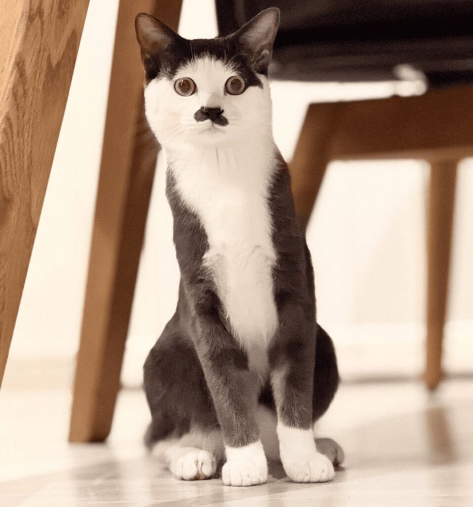 【実際の写真5枚】　現在の様子