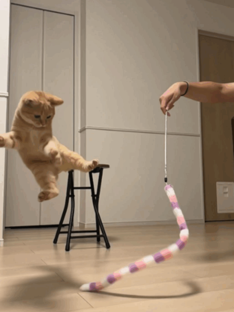 軽～く飛び越えちゃうよ（@uniuniuni20250322さんより提供）