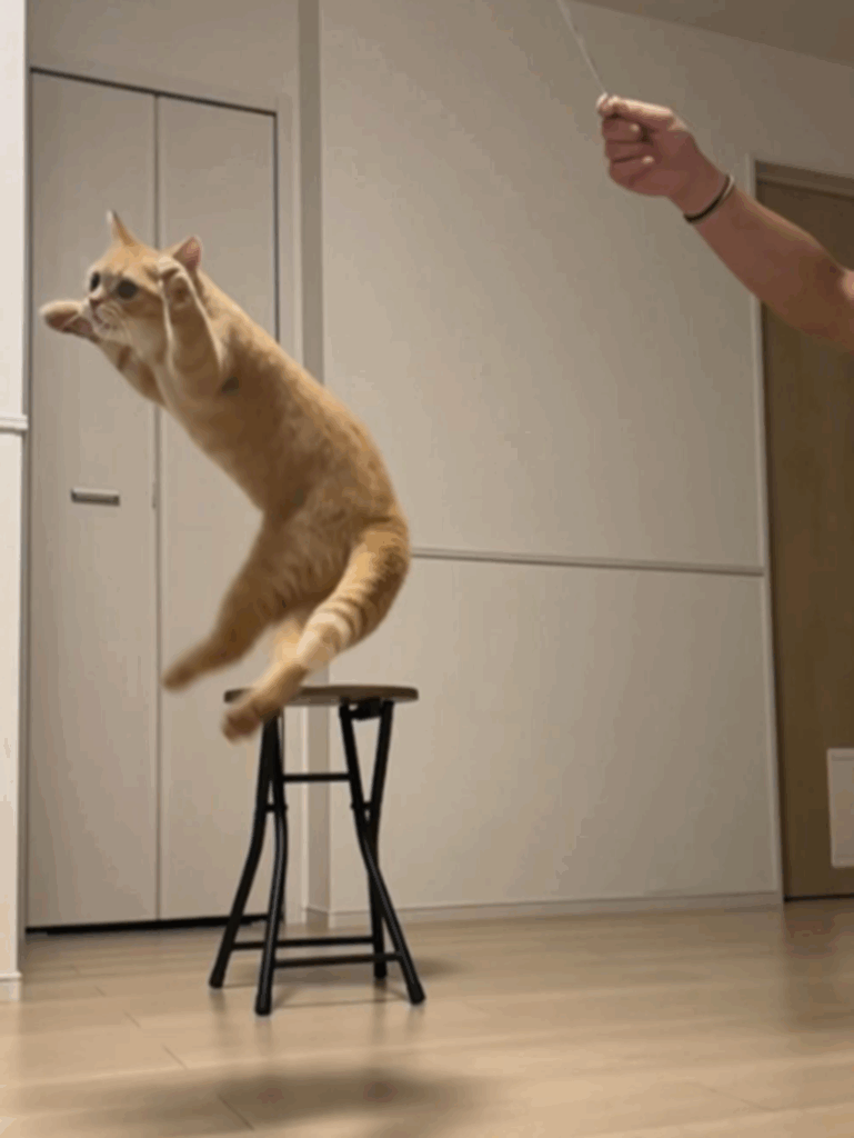 V字ジャンプもキメキメ（@uniuniuni20250322さんより提供）