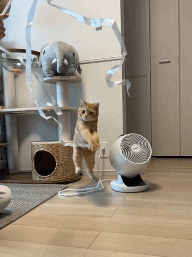 リボンもおまかせ！（@uniuniuni20250322さんより提供）