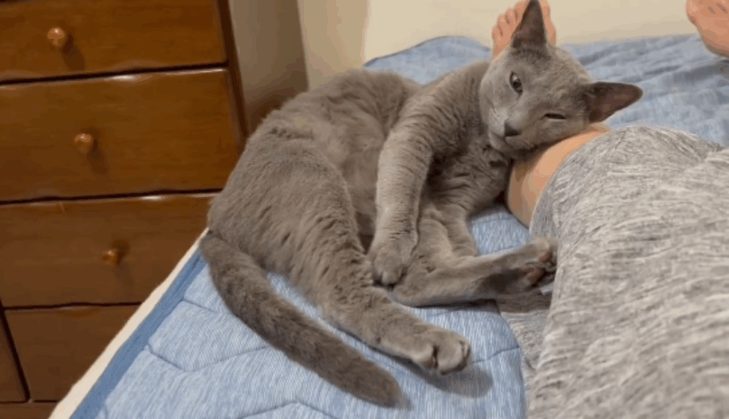 普段のとあくんの様子①（@mimimitomさんより提供）