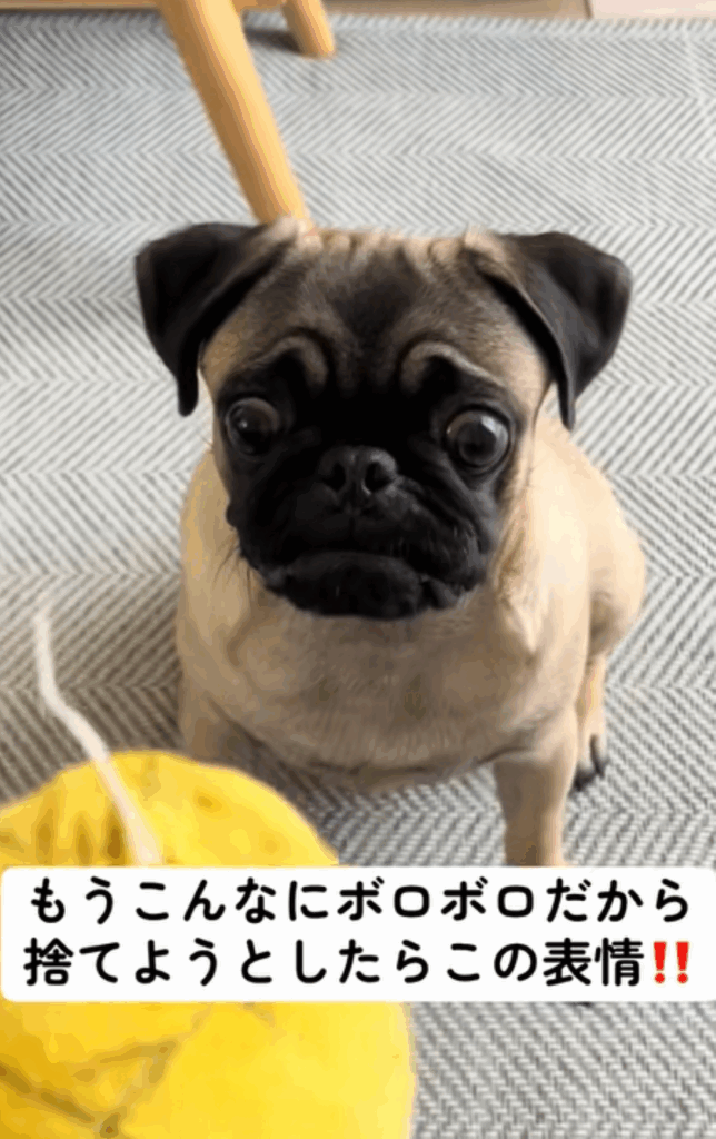 切ない表情（＠omusubi_0114さんより提供）