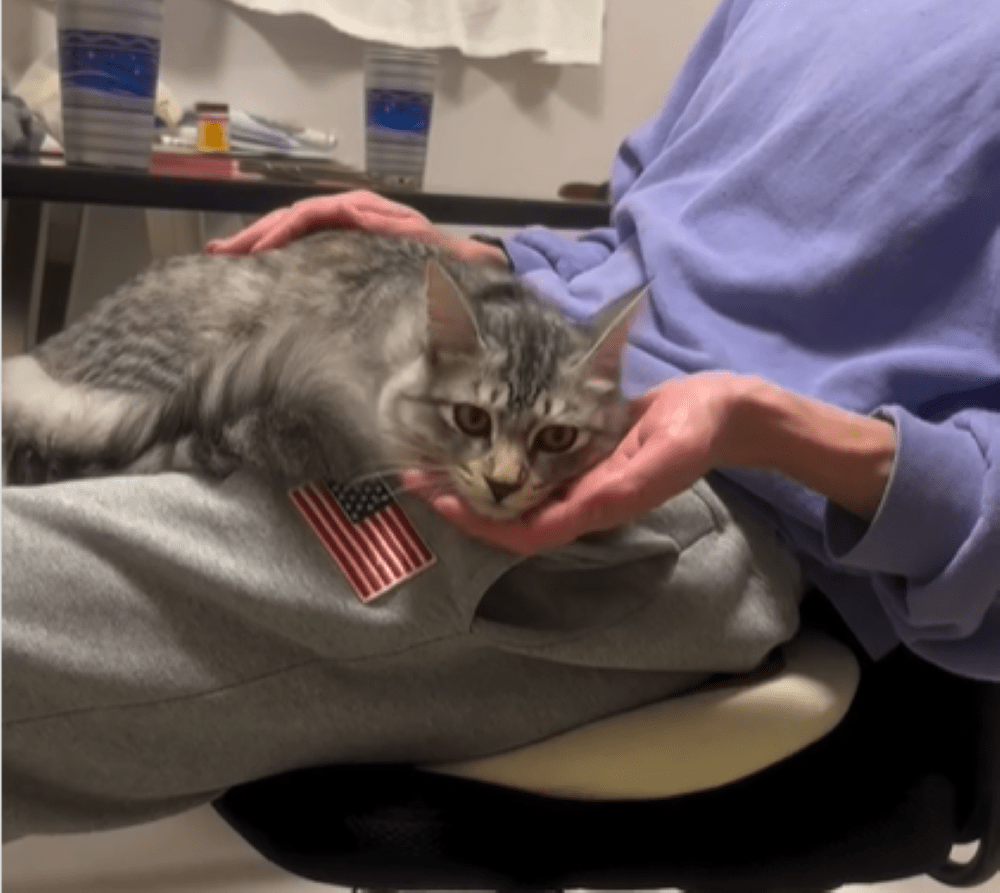 【実際の写真】1年後の姿