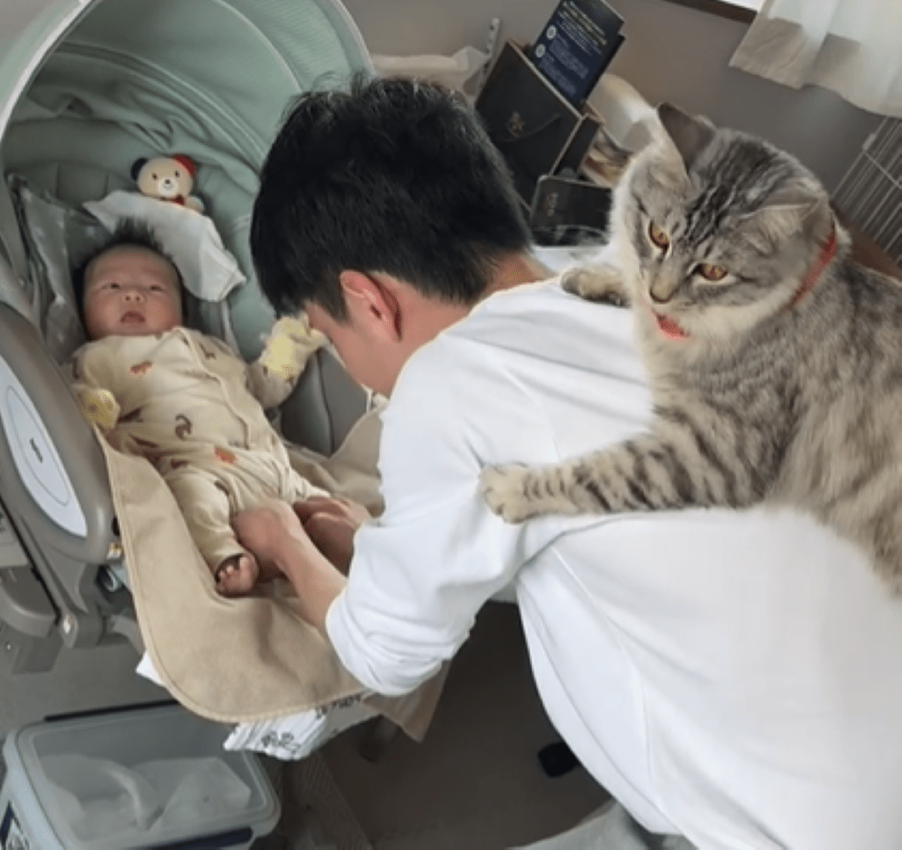 むぎ太くん⑤（＠mugita_515さんより提供）