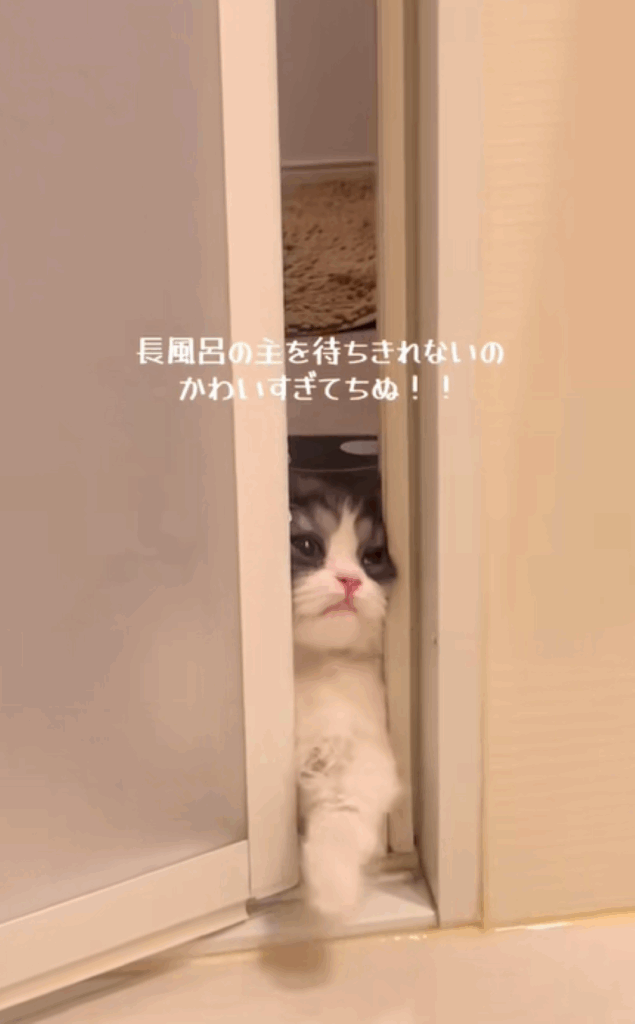 【実際の写真】よく見てみると