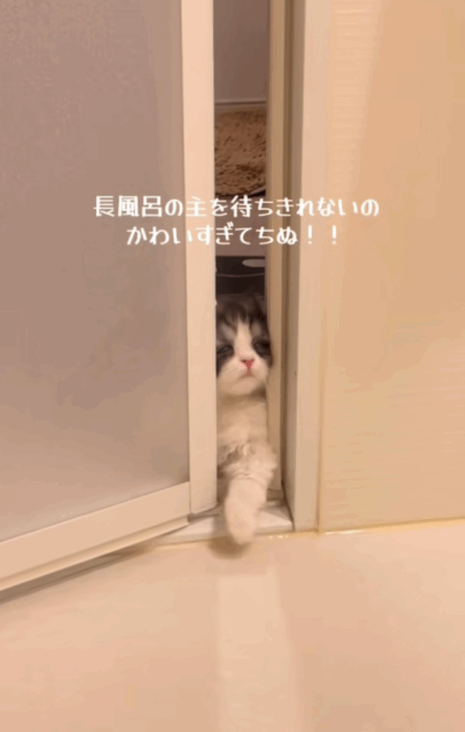 長風呂が待ちきれない様子②（＠nekonototoro58さんより提供）