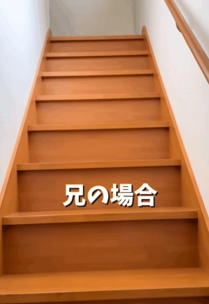 【実際の写真】柴犬の様子